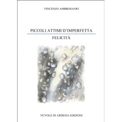 Piccoli attimi d'imperfetta felicità - ebook version